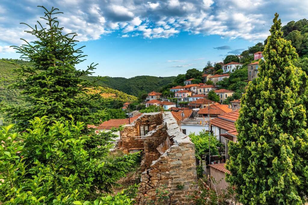 Apartment Small House With Garden & View Promirion